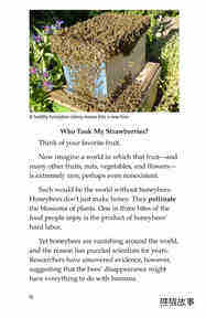 The Case of the Disappearing Honeybees绘本故事第3页