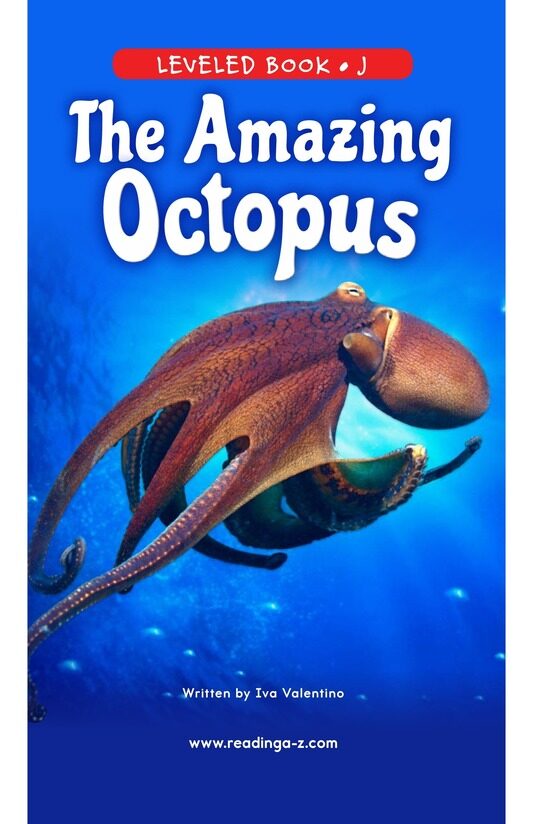 The Amazing Octopus绘本故事第2页
