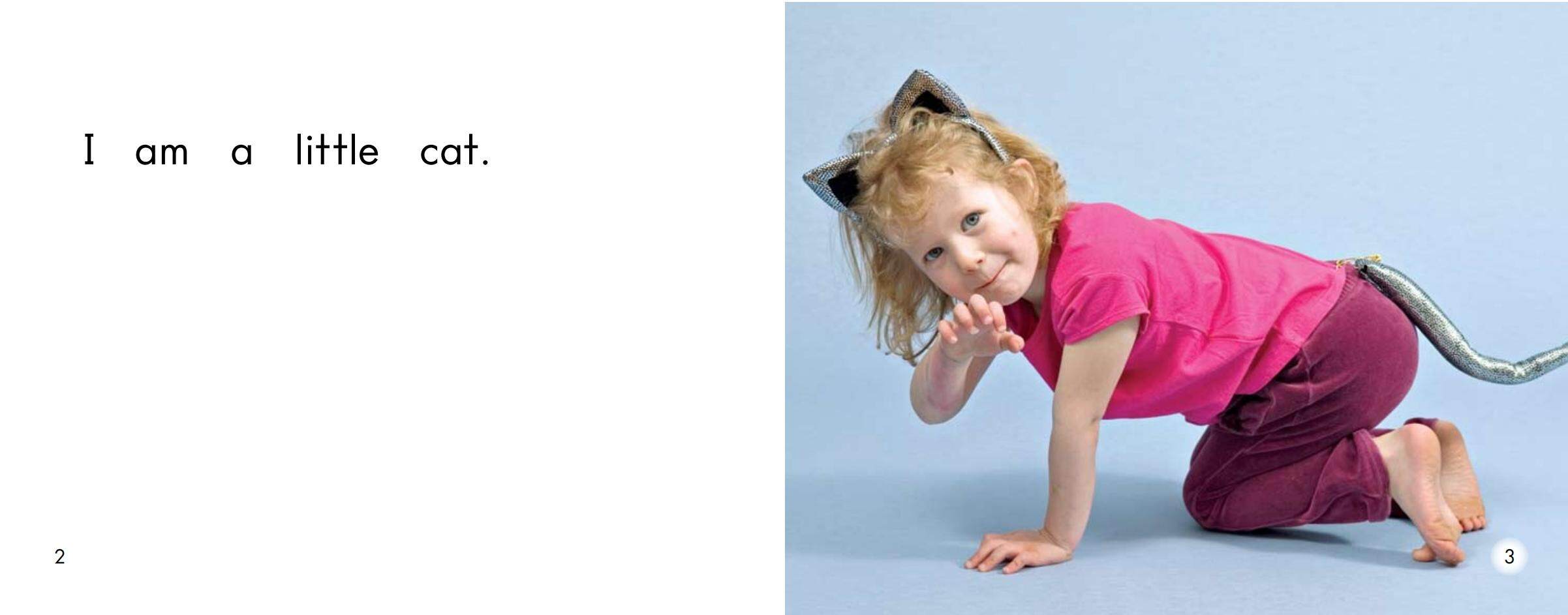 Playing dress up绘本故事第3页