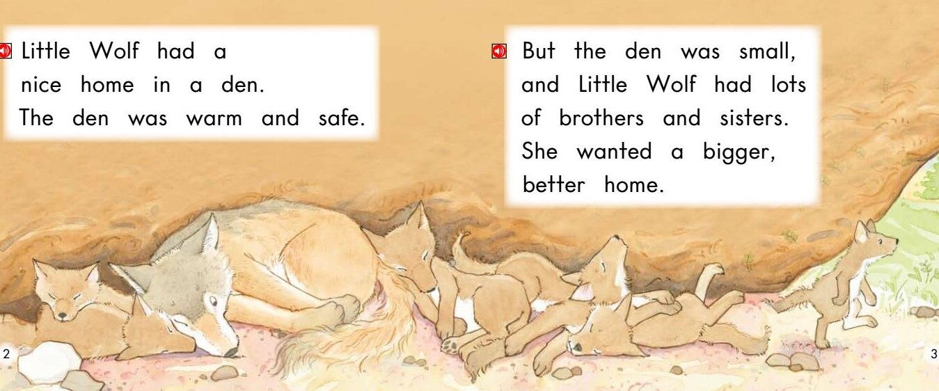 Little Wolf's New Home绘本故事第3页