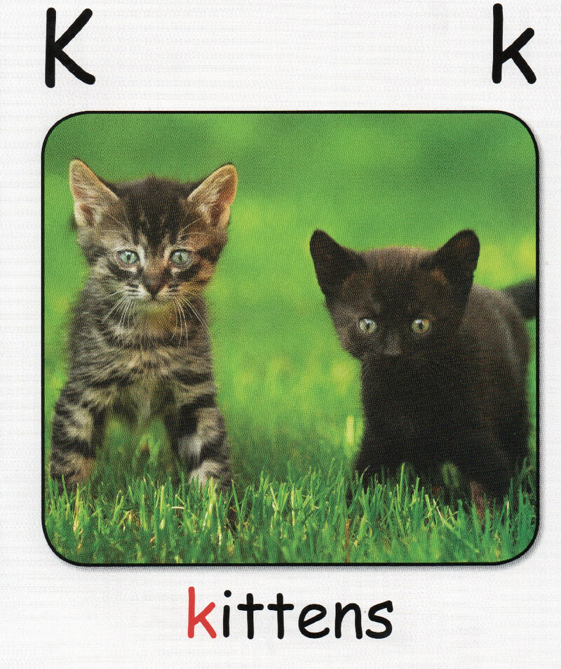 K绘本故事第3页