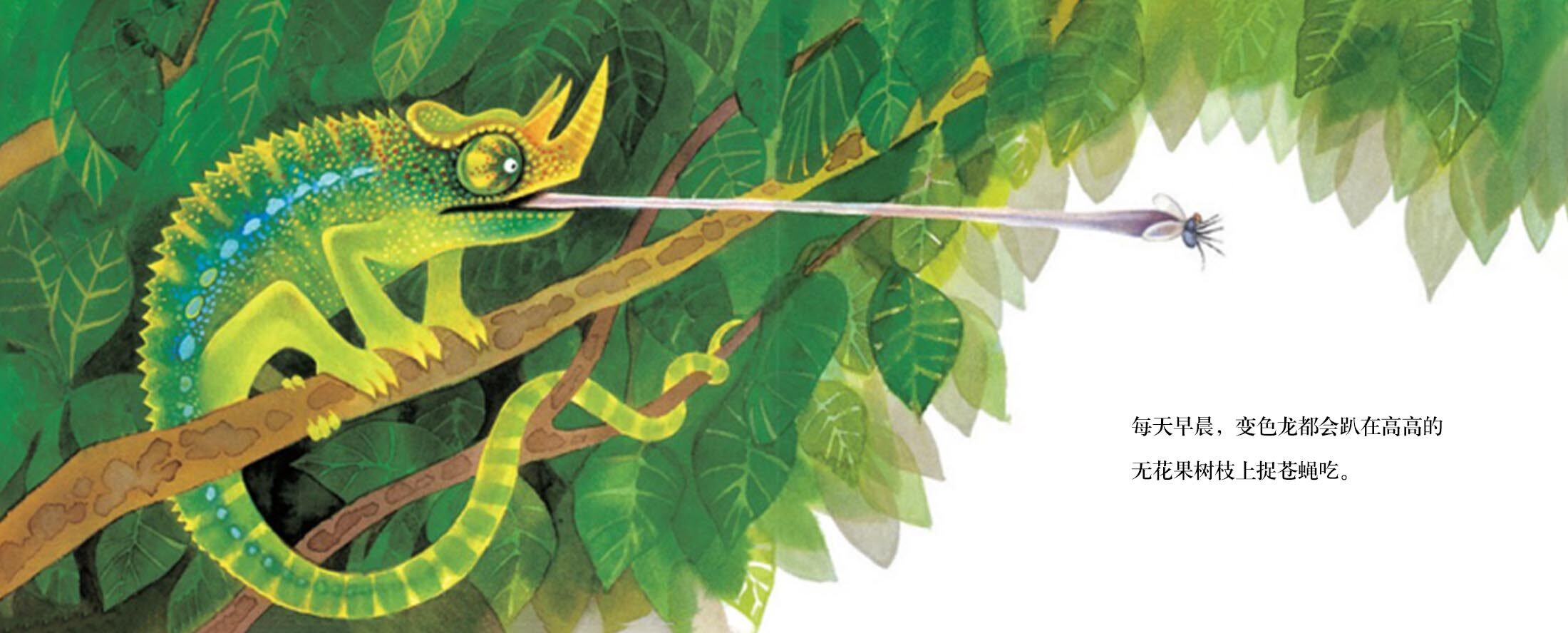 聪明的变色龙绘本故事第3页
