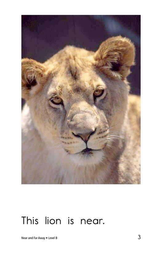 Near and Far Away绘本故事第3页