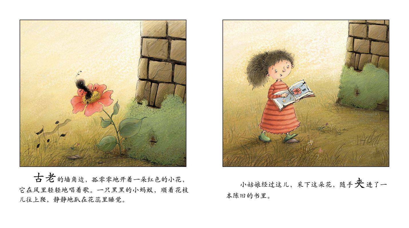 早期阅读系列——书本里的蚂蚁绘本故事第2页