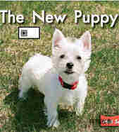 The new puppy