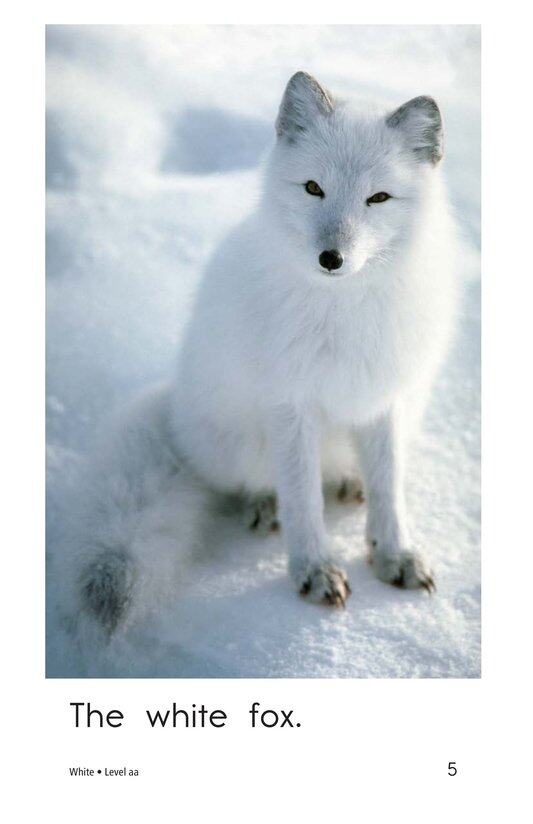 White绘本故事第5页