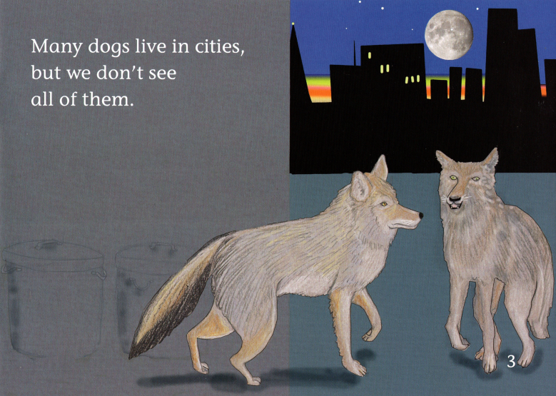 Wild dog in the city绘本故事第3页