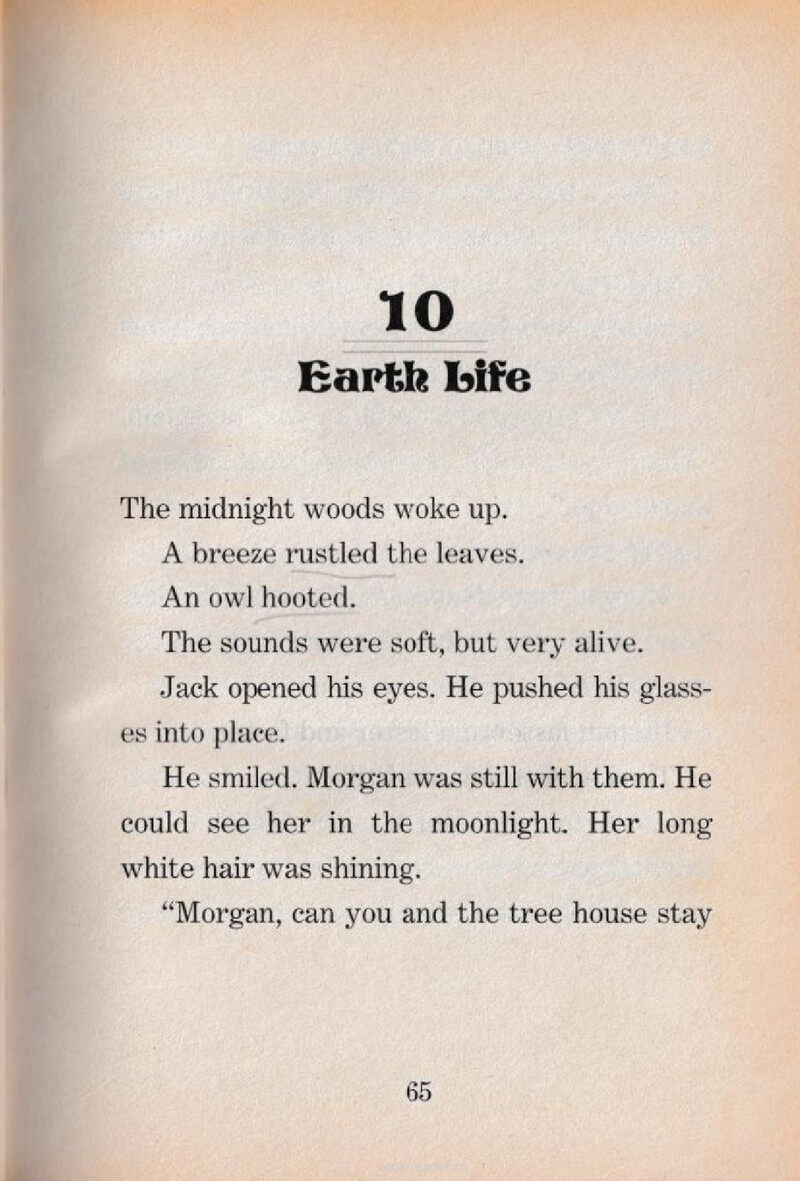 10 Earth Life绘本故事第2页