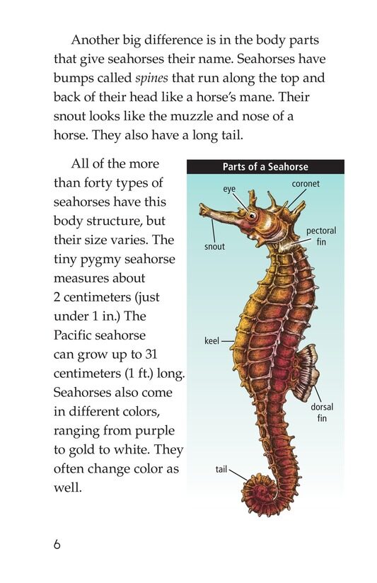 Seahorses绘本故事第5页