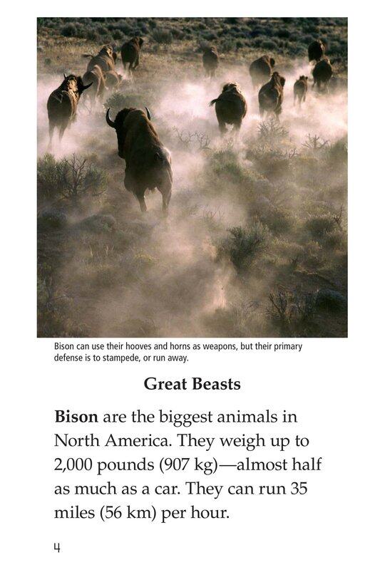 Bison Came Back绘本故事第3页