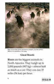 Bison Came Back绘本故事第3页