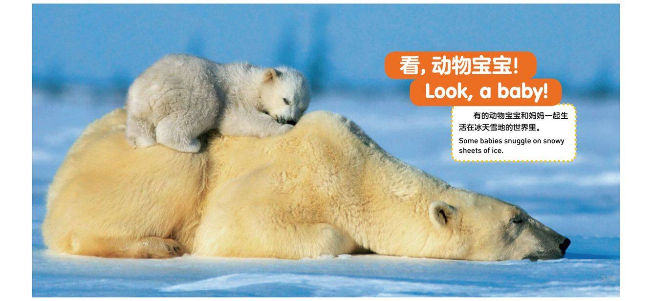 动物宝宝绘本故事第3页