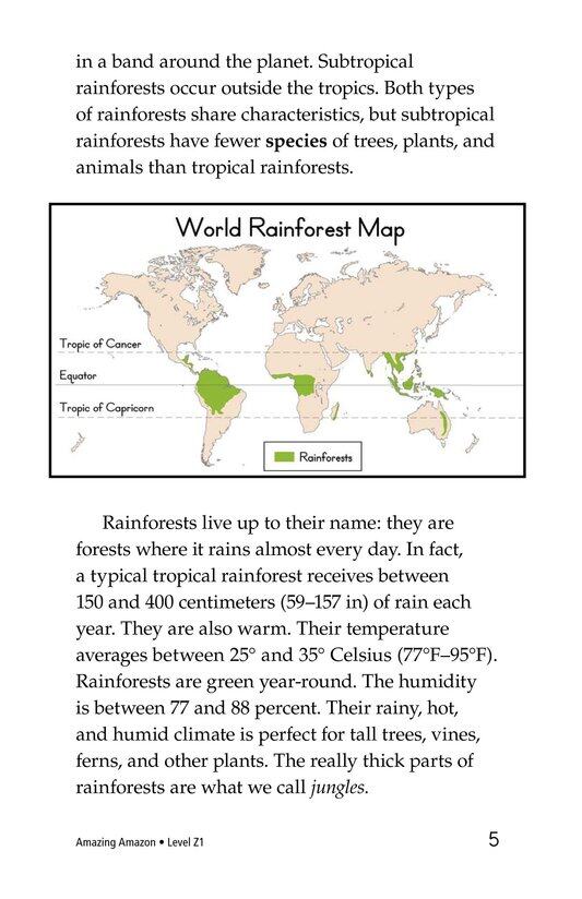 The Amazing Amazon绘本故事第4页