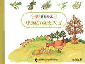 小鸡小鸡长大了