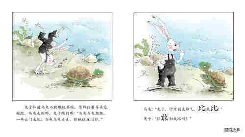 龟兔赛跑绘本故事第3页