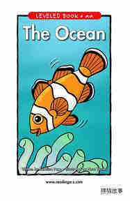 The Ocean