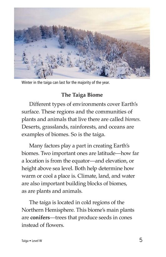 Taiga绘本故事第4页