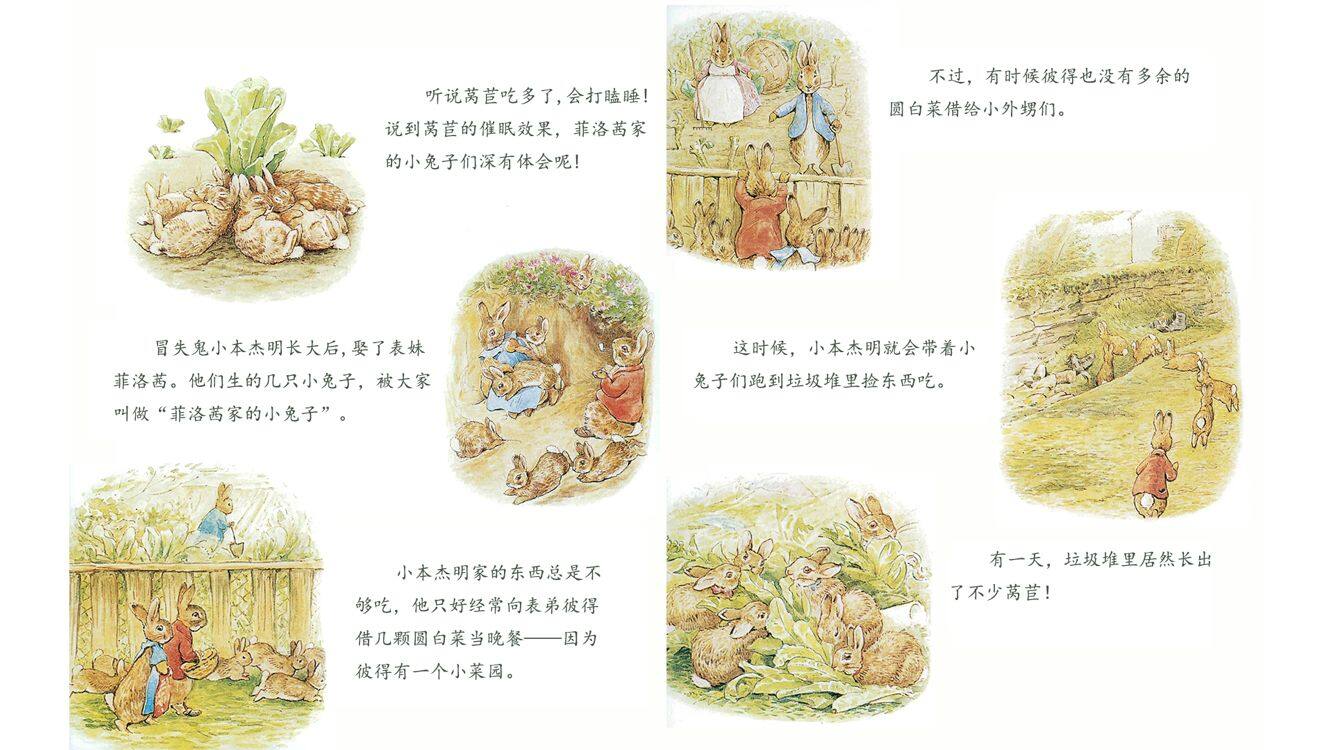 菲洛茜家的小兔子绘本故事第4页