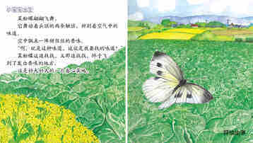 变身魔术师菜粉蝶绘本故事第4页