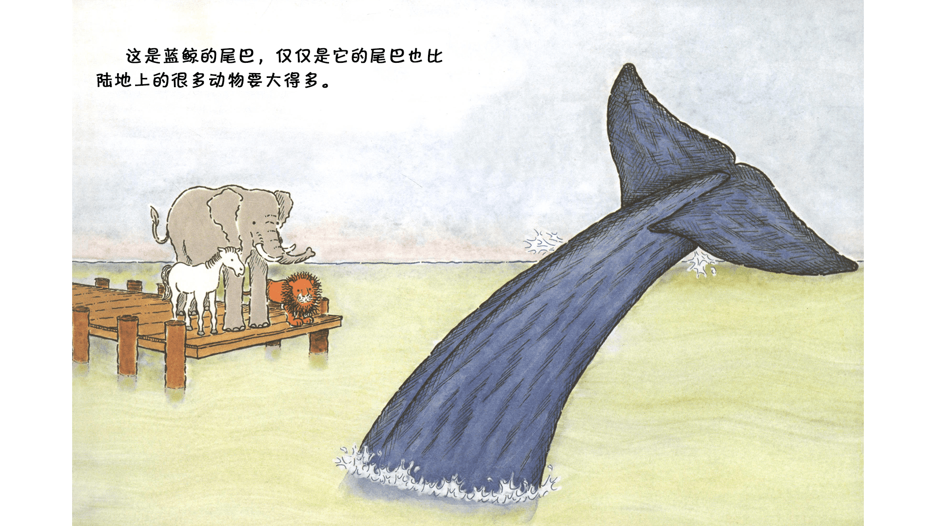 蓝鲸是最大的吗？绘本故事第3页