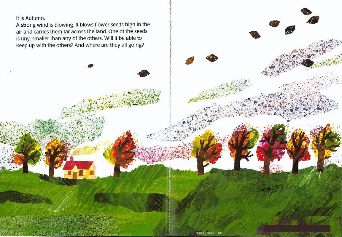 The Tiny Seed绘本故事第3页