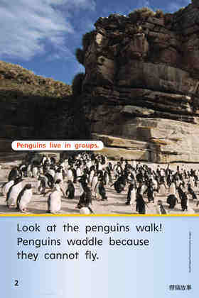 G1 ELL U4W2 Penguins All Around绘本故事第4页