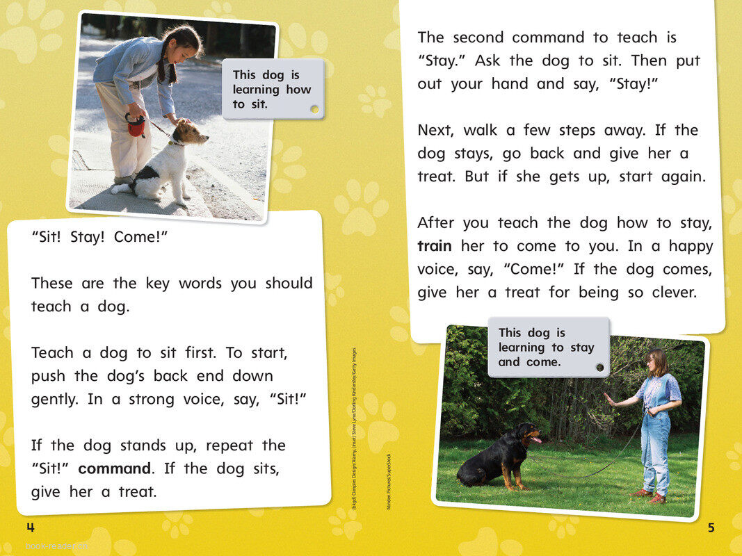 G1 Bey U4W5 Teach a Dog!绘本故事第5页