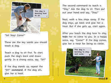 G1 Bey U4W5 Teach a Dog!绘本故事第5页