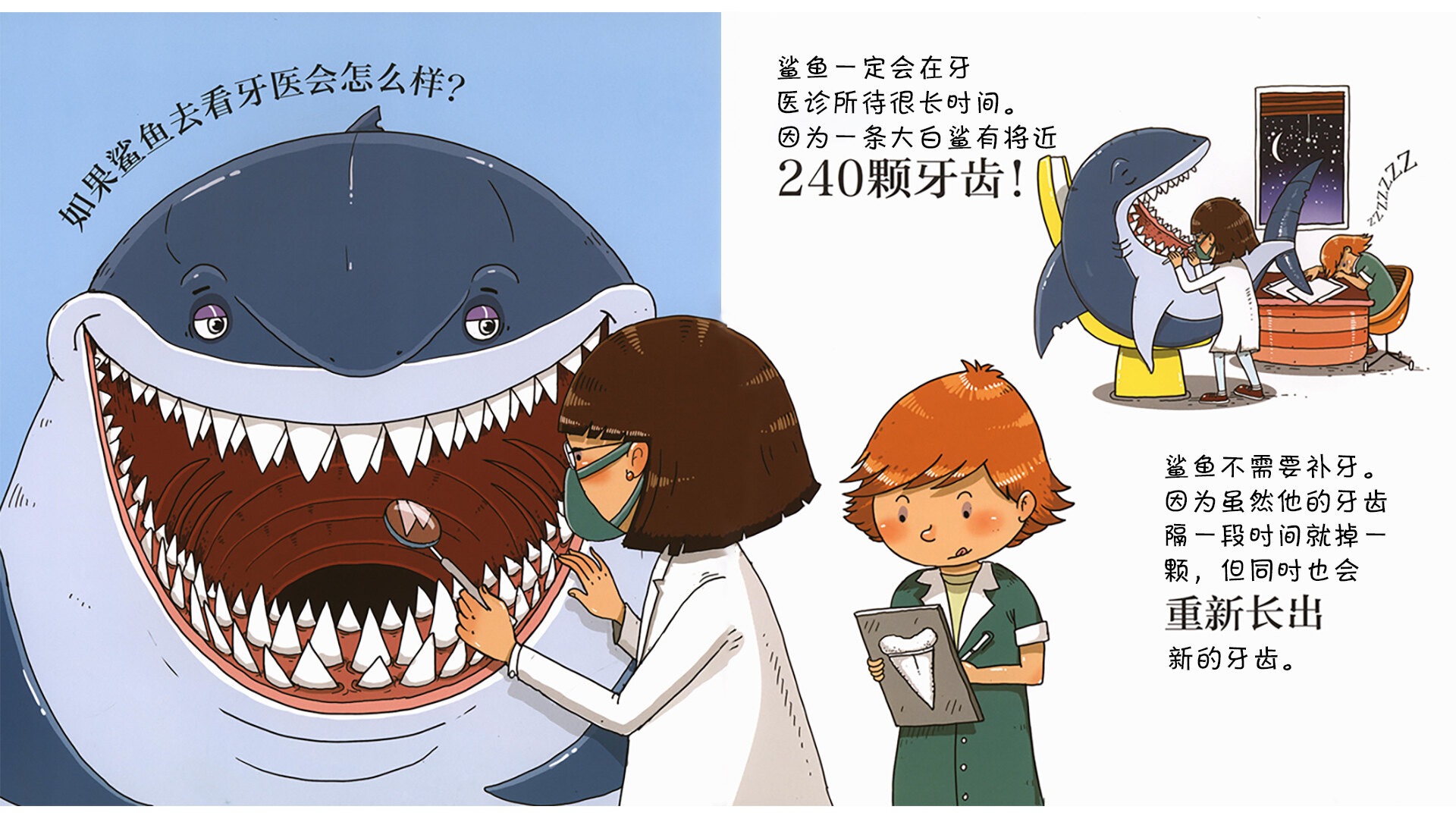 鲨鱼会做体操吗？绘本故事第5页