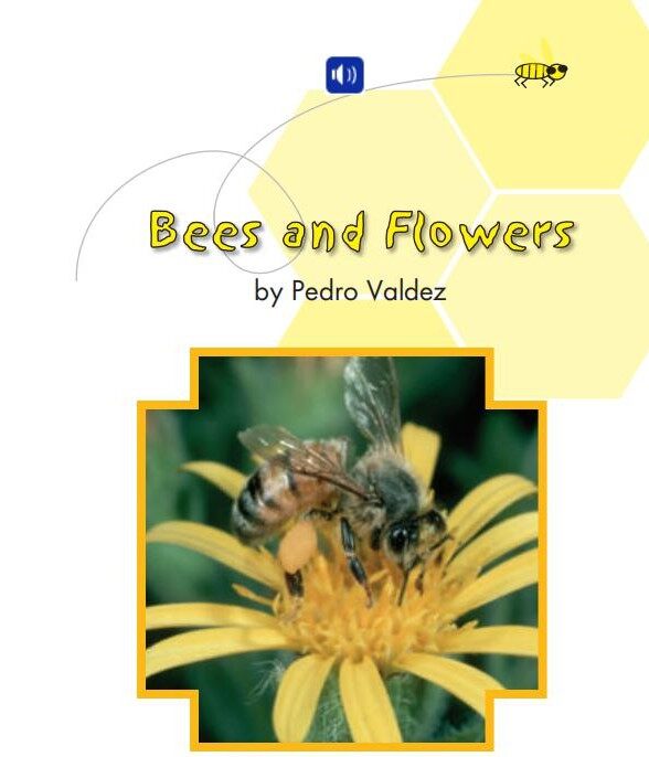 Bees and Flowers绘本故事第2页