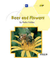 Bees and Flowers绘本故事第2页