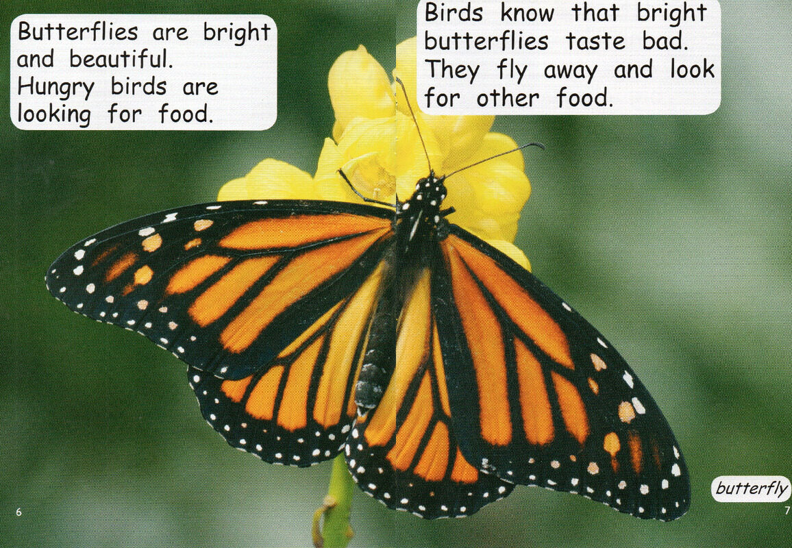 animal defences绘本故事第5页