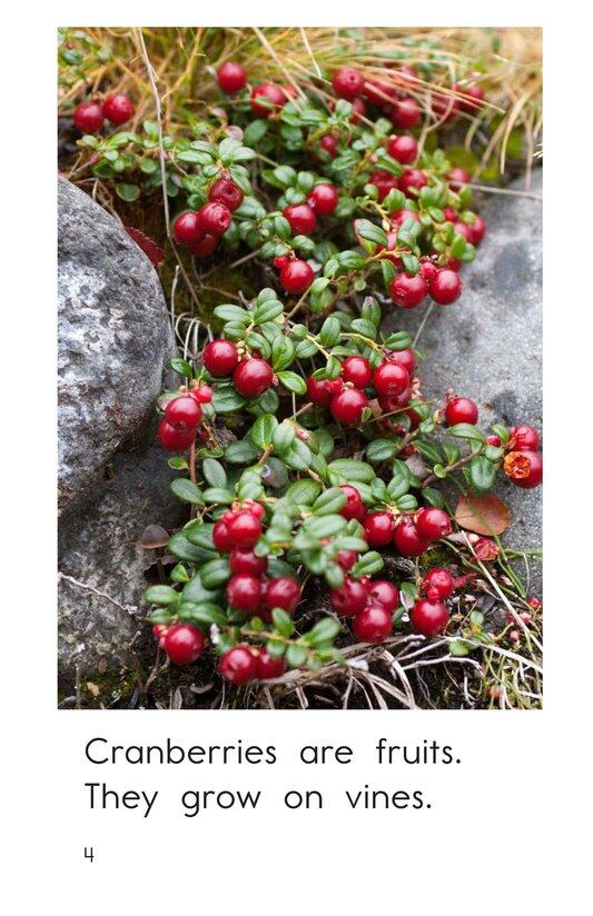 Cranberries绘本故事第4页