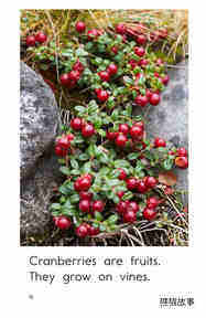 Cranberries绘本故事第4页