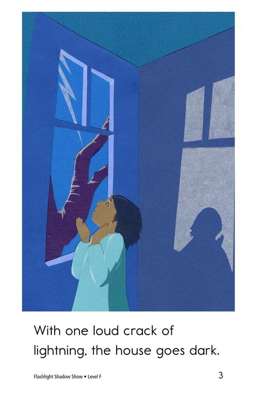 Flashlight Shadow Show绘本故事第3页