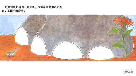 还有什么比鼩鼱更小吗？绘本故事第5页