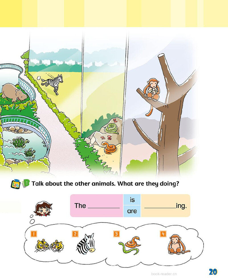 4 More about animals绘本故事第4页