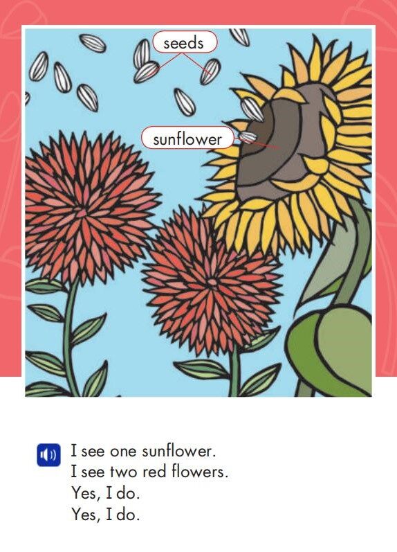 Around the Garden绘本故事第4页