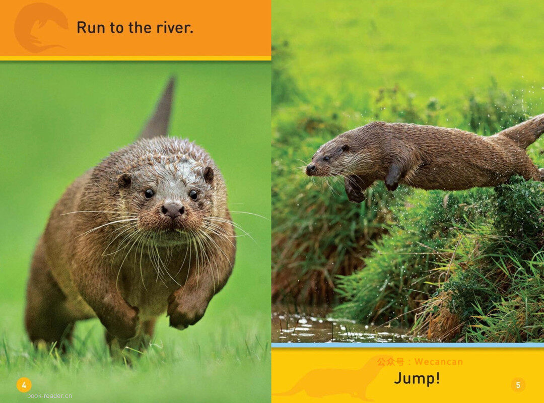 Peek Ottor绘本故事第4页