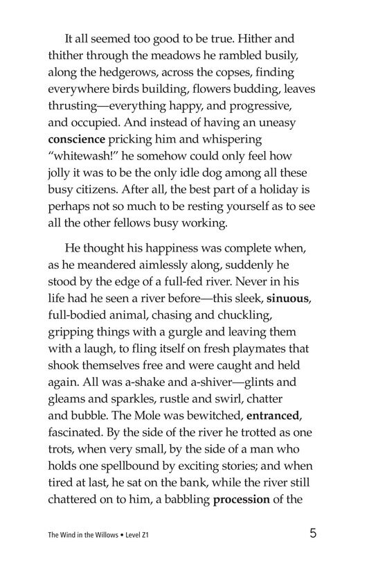 The Wind in the Willows (Part 1)绘本故事第5页