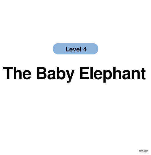 The Baby Elephant