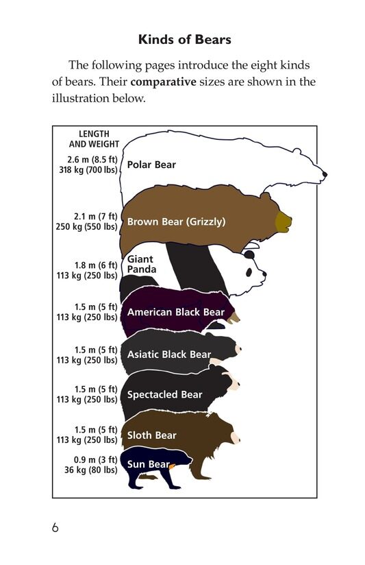 Bears绘本故事第5页