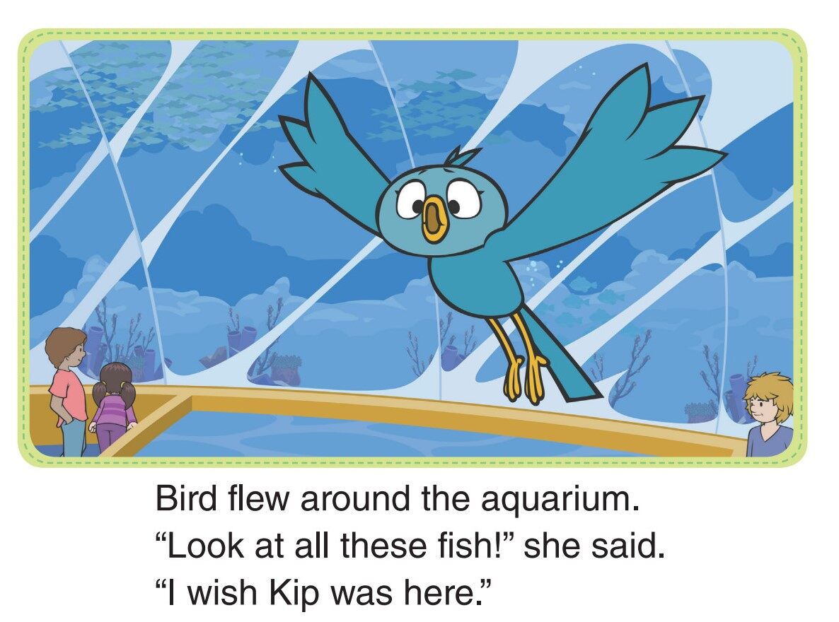 Looking at Fish绘本故事第2页