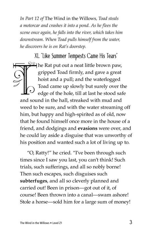 The Wind in the Willows (Part 13)绘本故事第3页