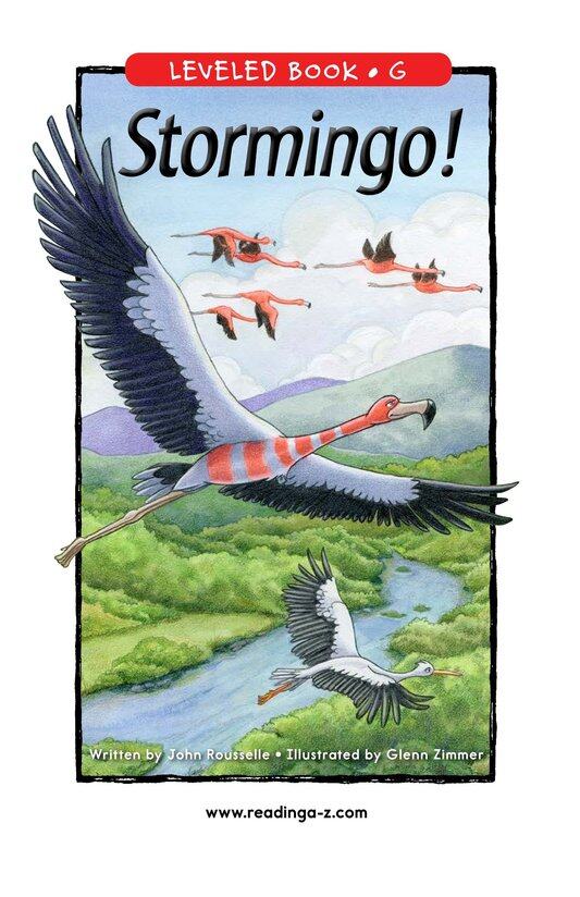 Stormingo!绘本故事第2页