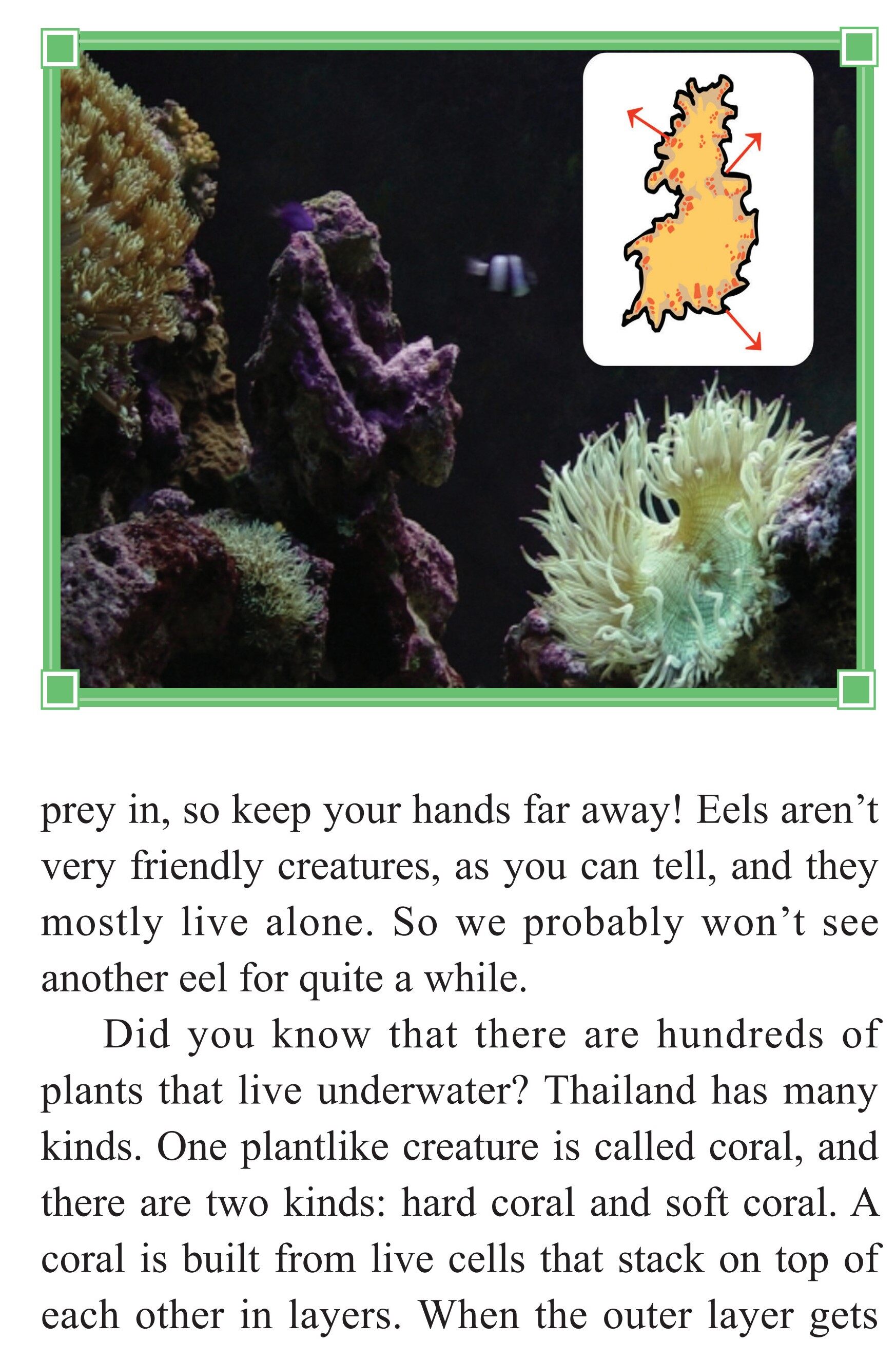 Scuba Adventure绘本故事第5页