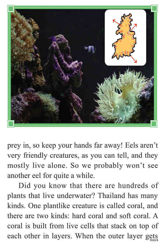 Scuba Adventure绘本故事第5页