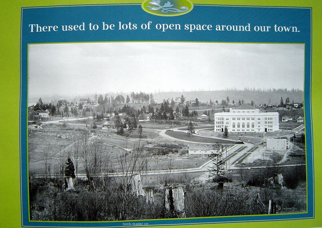 our town绘本故事第5页