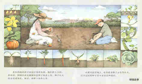 野地上的花园绘本故事第2页