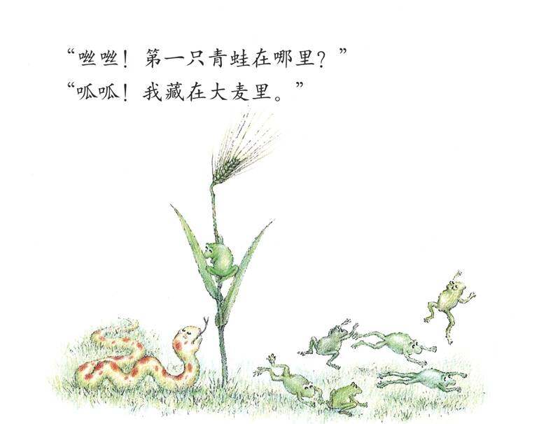 七只青蛙藏在哪儿绘本故事第2页